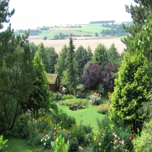 Blick aus dem Fenster ins Grüne