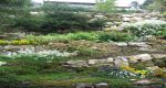 Blick in den Garten